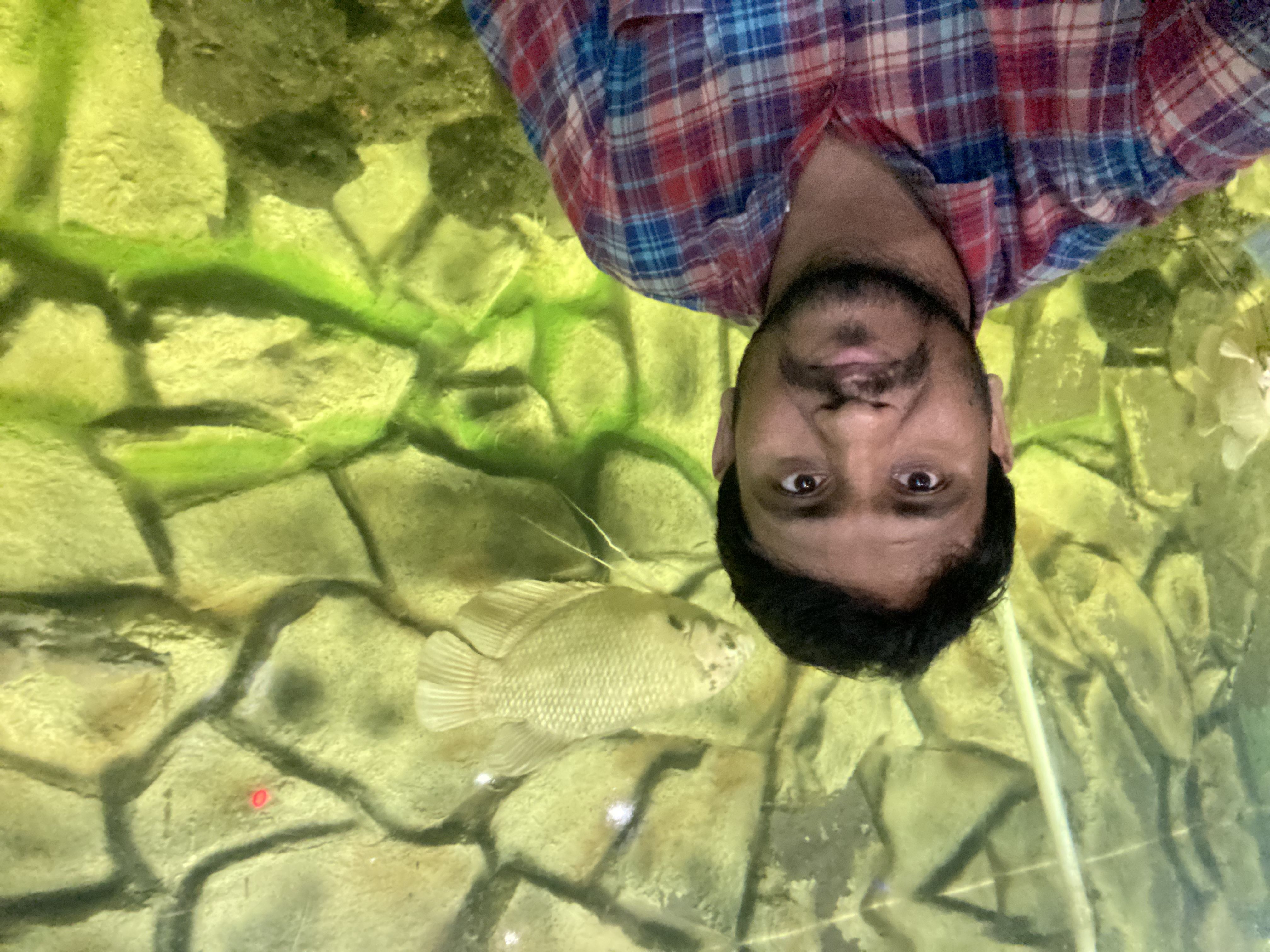 KAVALI NARESH